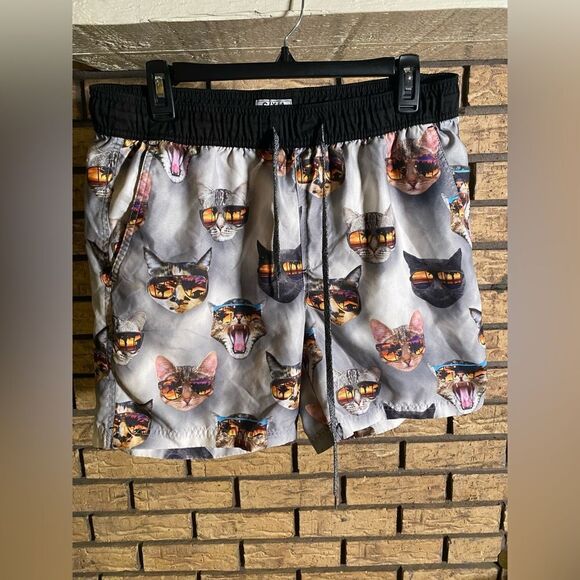 Cats with sun glasses shorts - Picture 1 of 5